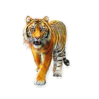 fuzhen boutique decals exterior accessories personalized animal tiger pvc car window sticker decal graphical