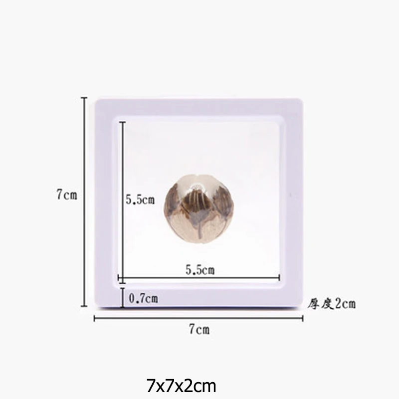 

Полиэтиленовая пленка брошь монета драгоценные камни ящик для хранения ювелирных изделий пылезащитный выставочное Украшение подвесное плавающее кольцо стойки для показа сережек чехол