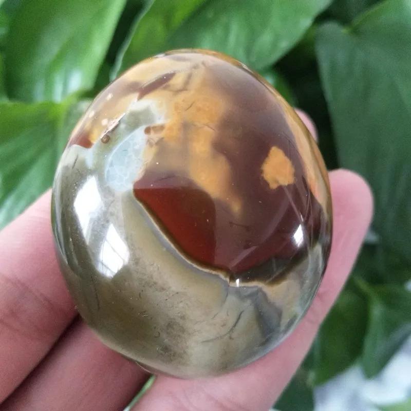 

Natural Ocean Stone Palm Beautiful Home Decor Gemstone Feng Shui Chakra Healing Wicca Accessories