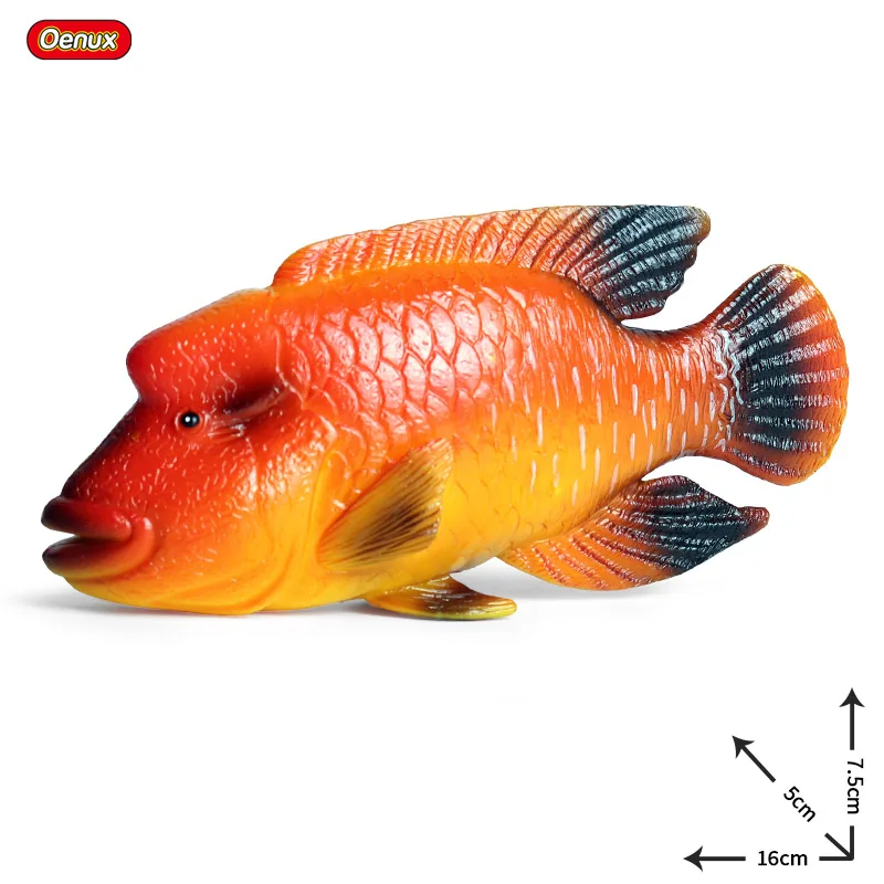 Oenux морские рыбки животные модель моделирование SeaLife Coelacanth Sailfish Фигурки ПВХ аквариум реалистичные Развивающие детские игрушки - Цвет: without box