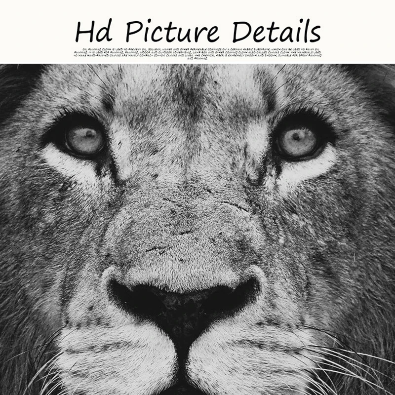 

Black White Lion Wall Art Canvas Painting African Wild Animal Posters and Wall Prints Picture for Living Room Cuadros Home Decor