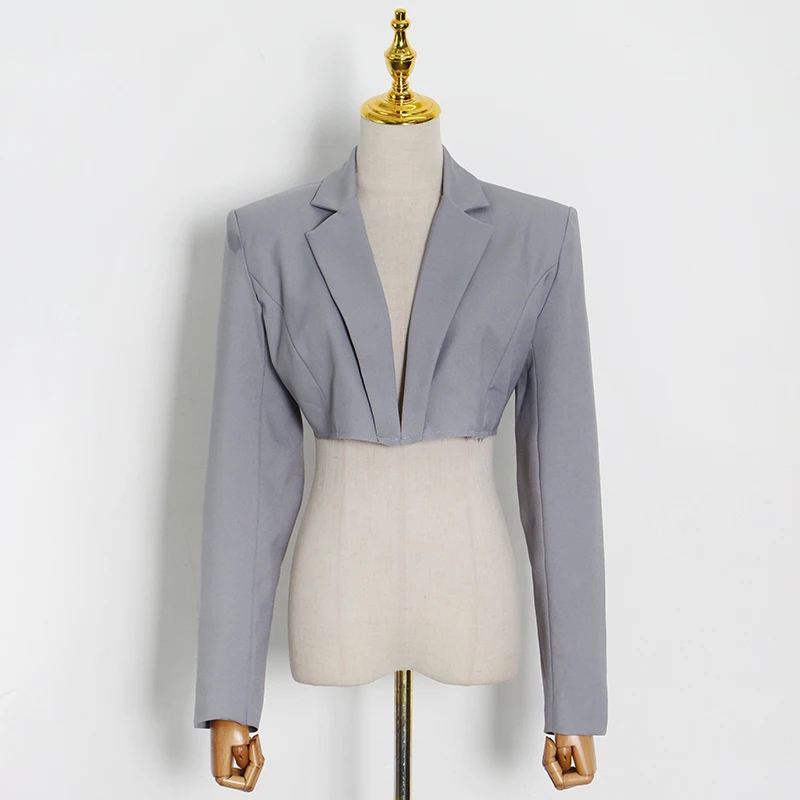 

TWOTWINSTYLE Solid Short Blazer For Women V Neck Long Sleeve Casual Minimalist Blazers Female Fashion New Clothing Spring Tide