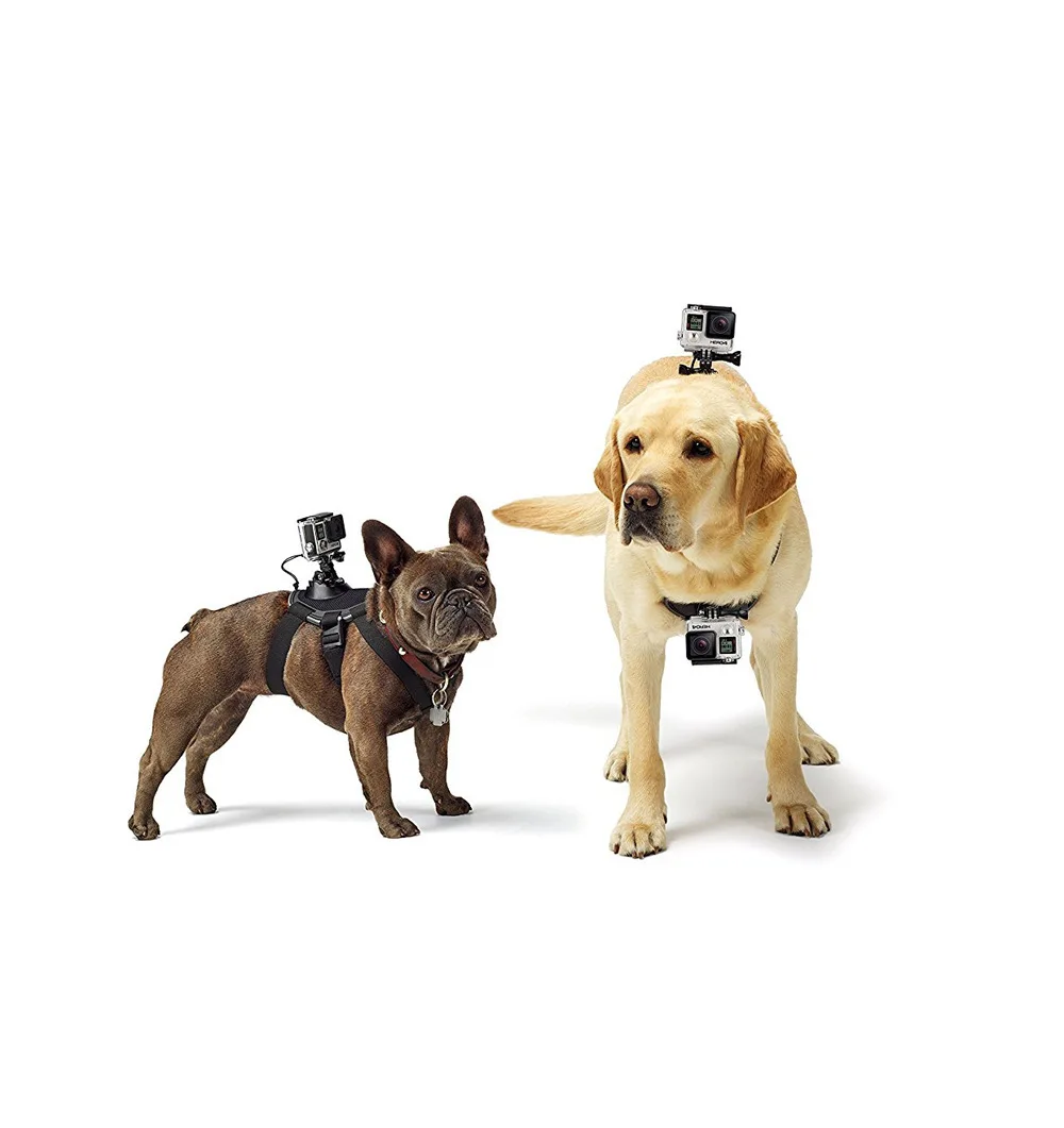 

Ремешок для собак для Gopro Hero5/3 Plus/4, ремешок для переноски собак, аксессуары для собак