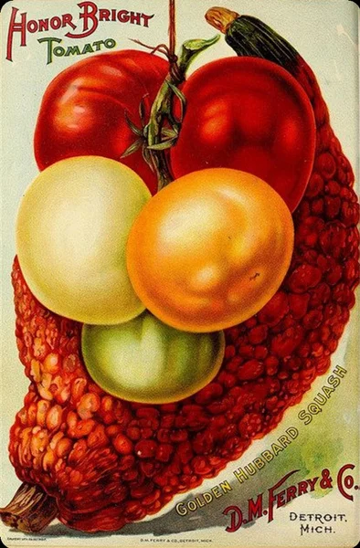 

Vintage Farm Honor Bright Tomato Squash Metal Tin Sign 8x12 Inch Retro Home Vegetable Fruit Poster Kitchen Wall Decor