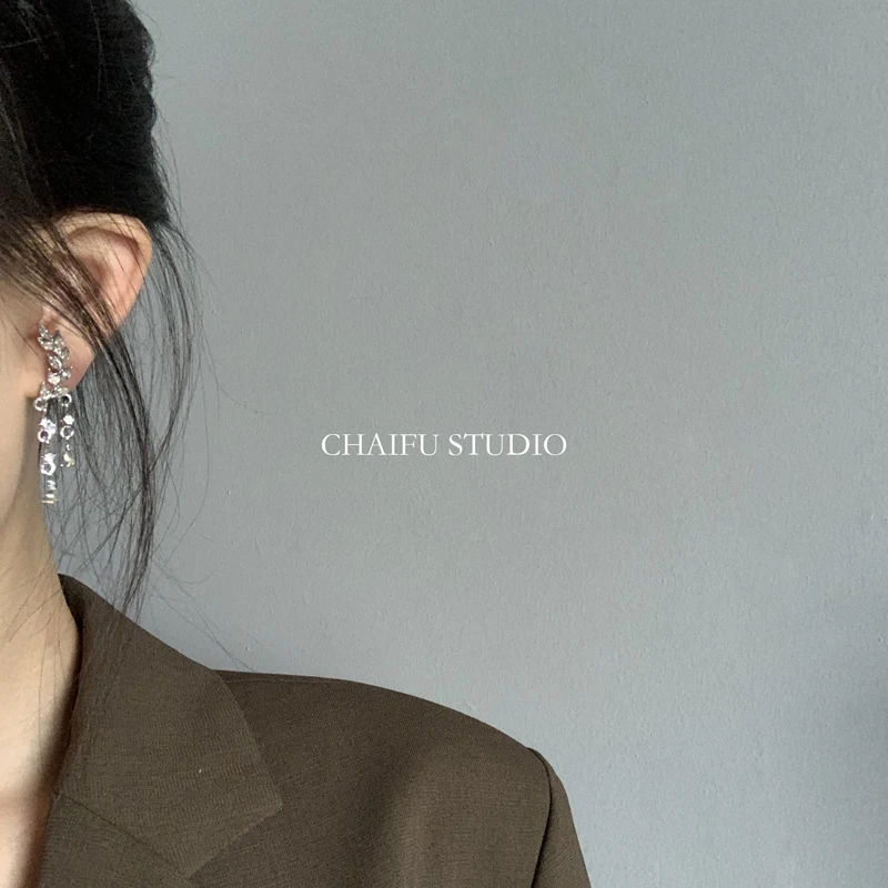 

Achaifu# R26 Sterling Silver Needle Ins Style Super Fairy Artistic Fresh All-Match Leaves Zircon Tassel Earrings