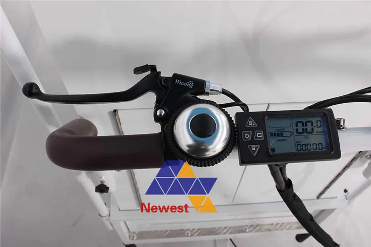 Электрический подвижный велосипед мороженого трехколесный для