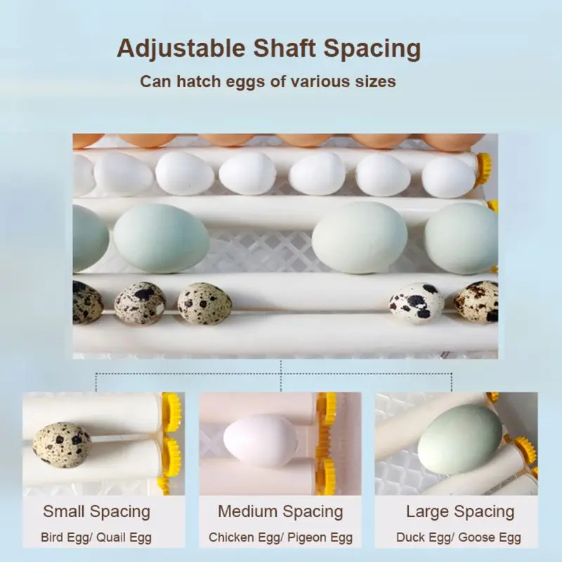 220V инкубатор для яиц Брудер Автоматическая фермы инкубационное оборудование