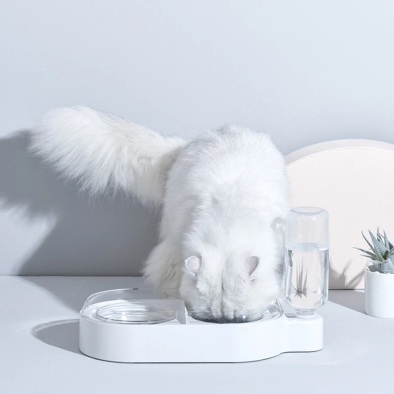 

Dog Food Double Bowls Auto Water Dispenser Bottle Drinking Raised Stand Dish