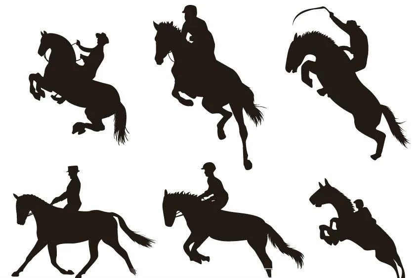 70 см и 80 1 м коричневый Плетеный ручной работы для верховой езды хлыст из воловьей