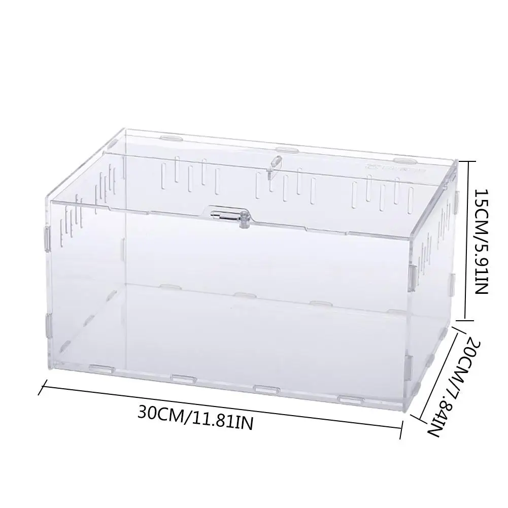 Акриловая коробка для разведения пауков кормления рептилий лазания питомца