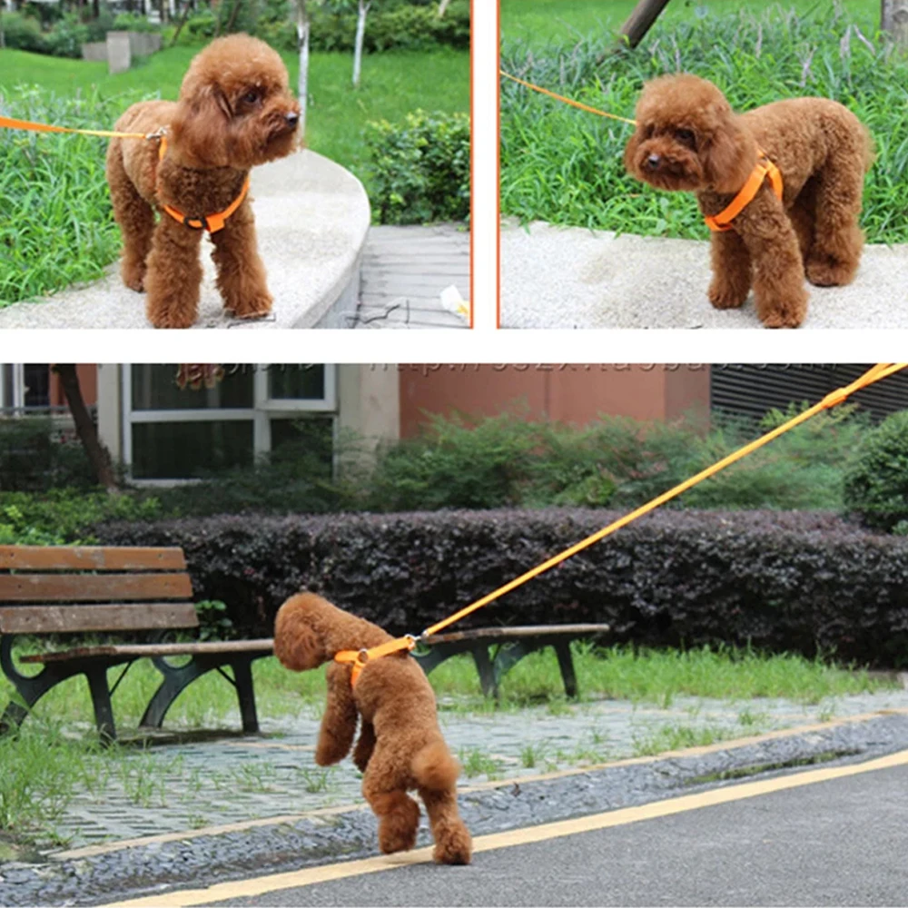 Зарядка через USB или кнопка аккумулятора Светодиодный ошейник для собак с