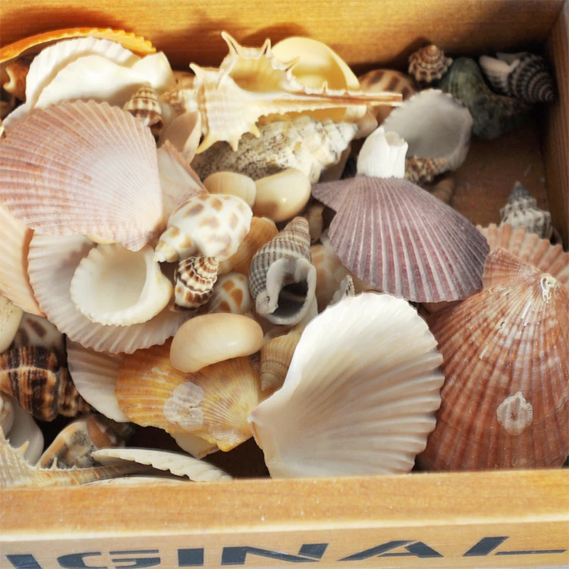 Средиземноморский стиль DIY раковины морской Свадебный декор винтажная мода пляж