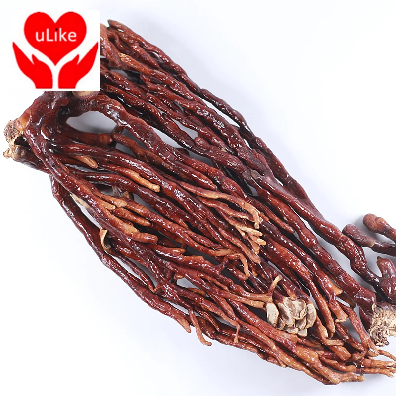 

Олень Рог Ганодерма люцидиум