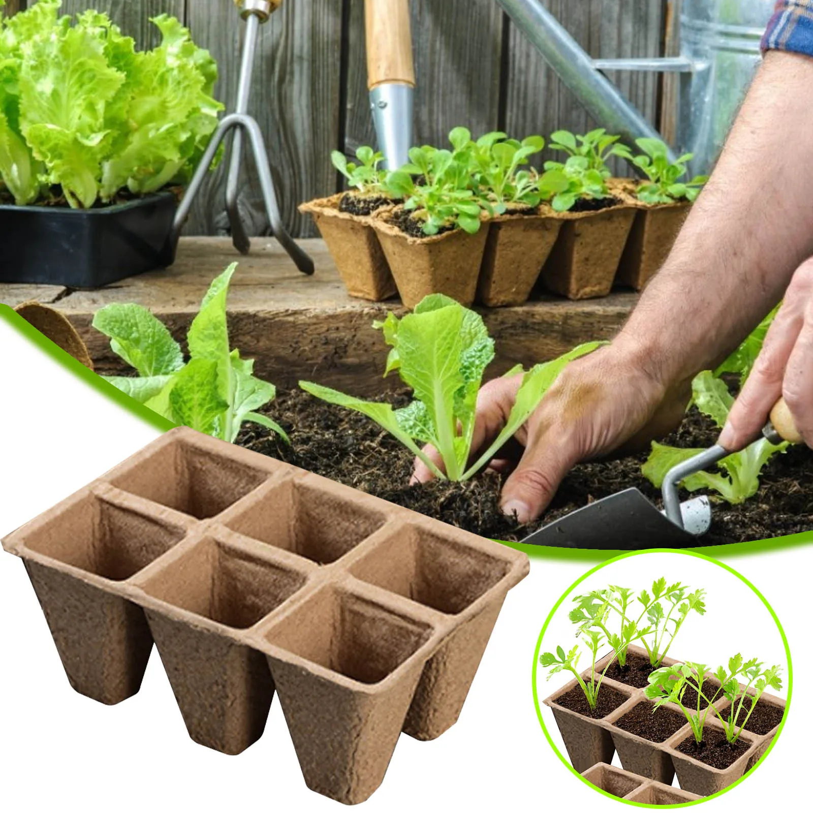 

Degradable Peat Pots Seed Starter Trays Seedling Pots Germination Trays 6 Cells