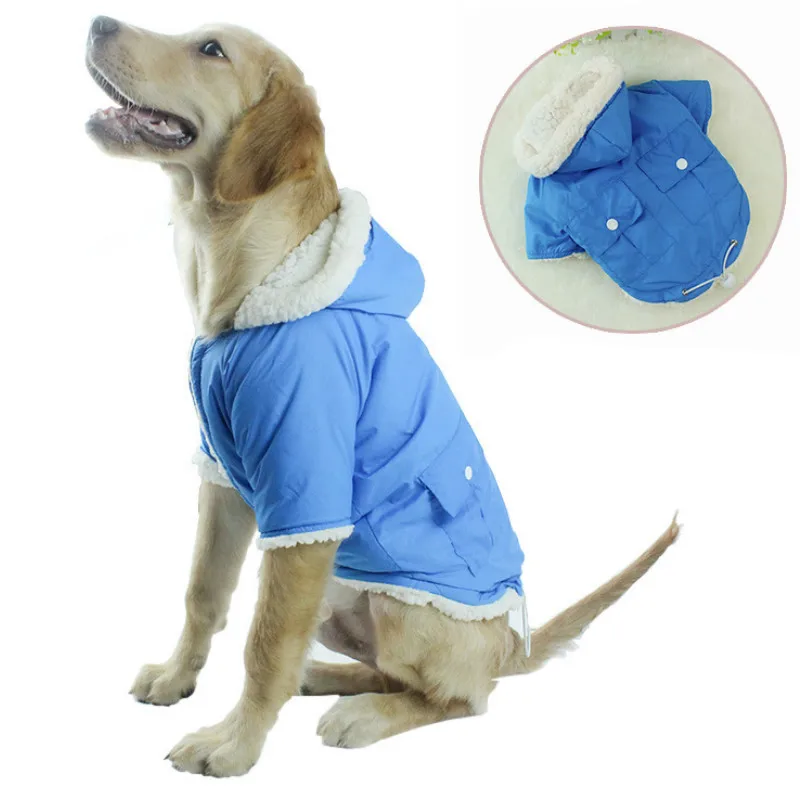 Товары для домашних животных Одежда собак и кошек костюм осень зима модный