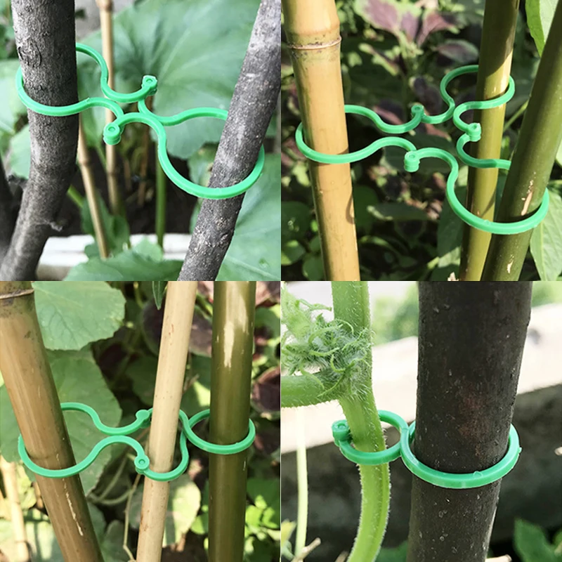 

50pcs Plastic Plant Support Clips Clamps For Plants Hanging Vine Garden Greenhouse Vegetables Tomatoes Clips Plant Support