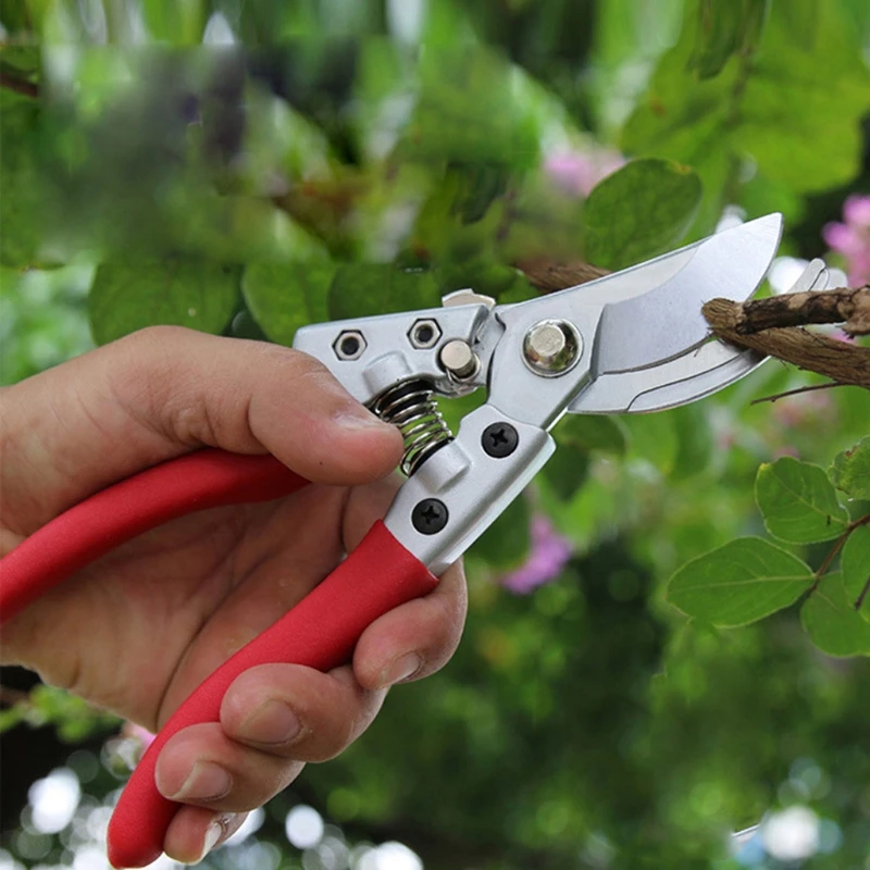 

L9BE Pruning Shears Garden Tree Trimmer Gardening Tool Farms,Fruit Trees,Flowers and Other Home Garden Scissors