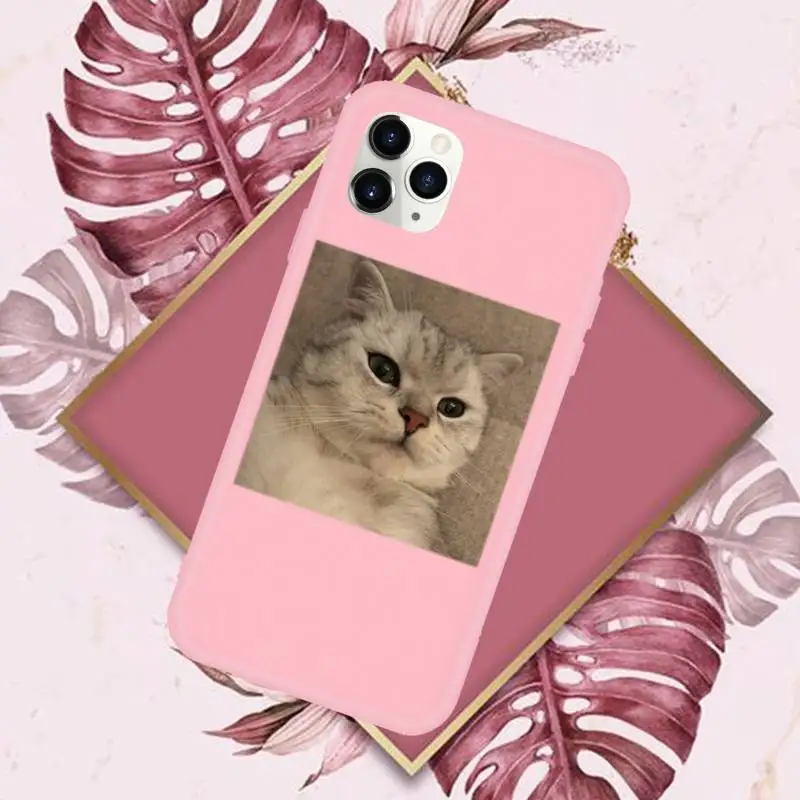 

Cute cartoon cat Phone Case Candy Color for iPhone 11 pro XS MAX 8 7 6 6S Plus X 5S SE 2020 XR