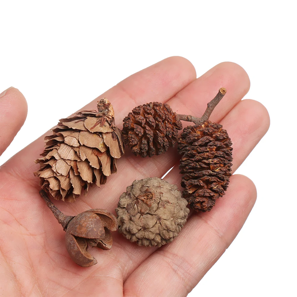 20 искусственных сосновых конусов желудь искусственный цветок крест фрукты