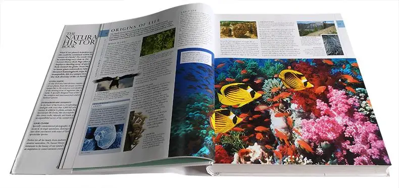 

Original Children Popular Science Books DK The Natural History Book