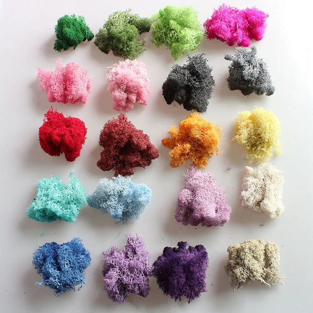 Натуральные Искусственные мини цветы искусственные растение вечное мох для