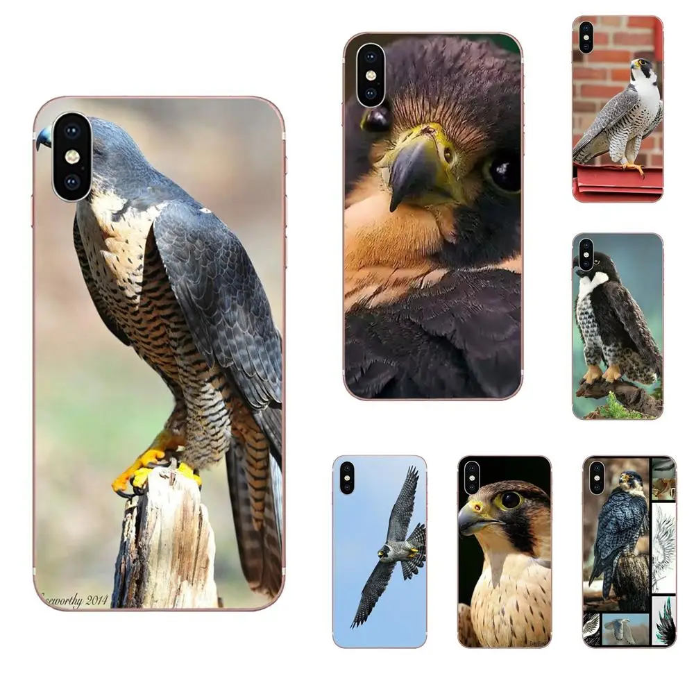 Peregrine Falcon самое быстрое животное для Huawei Honor 10 10i 20 20i 8S lite Y9 Prime Y7 2019 Y5 2018 p40
