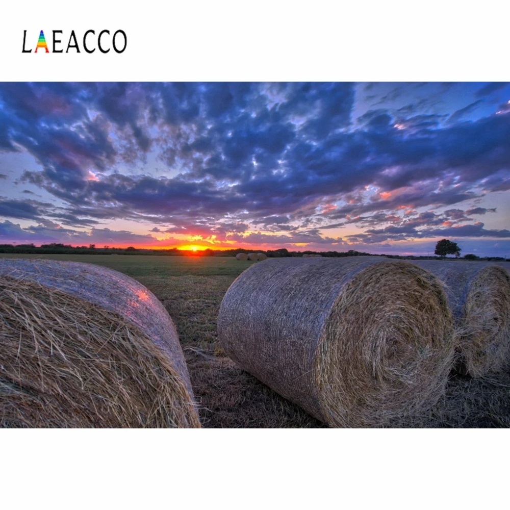 Laeacco осень Сумерки поле сена декорации Фото фон Настенный декор портрет