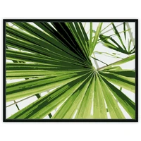 sun palm leaf paint by numbers kit for adults beginners acrylic painting oil paint on floater framed canvas diy paint numbers