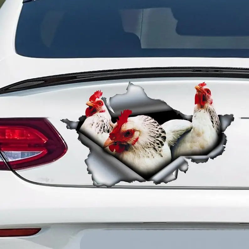 

White hens car decal, White chicken magnet, chicken car sticker, farm decal
