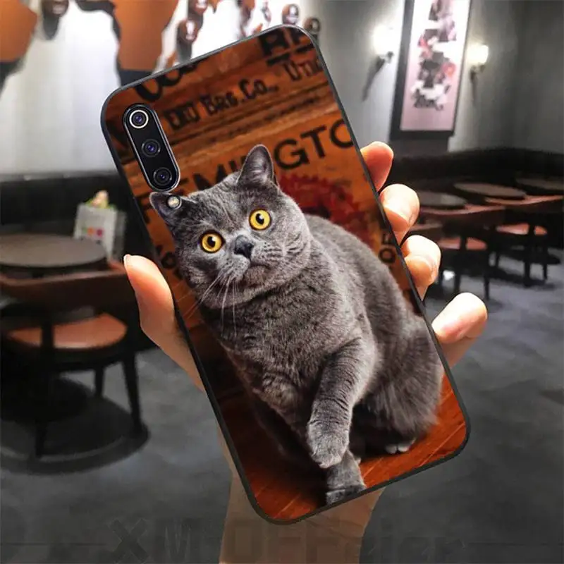 

British shorthair cat Phone Case for Xiaomi mi 6 6plus 6X 8 9SE 10 Pro mix 2 3 2s MAX2 note 10 lite Pocophone F1