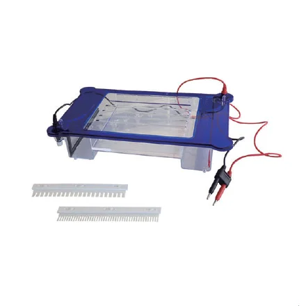

Horizontal Electrophoresis Tank ET-H3 with Dismountable Electrodes