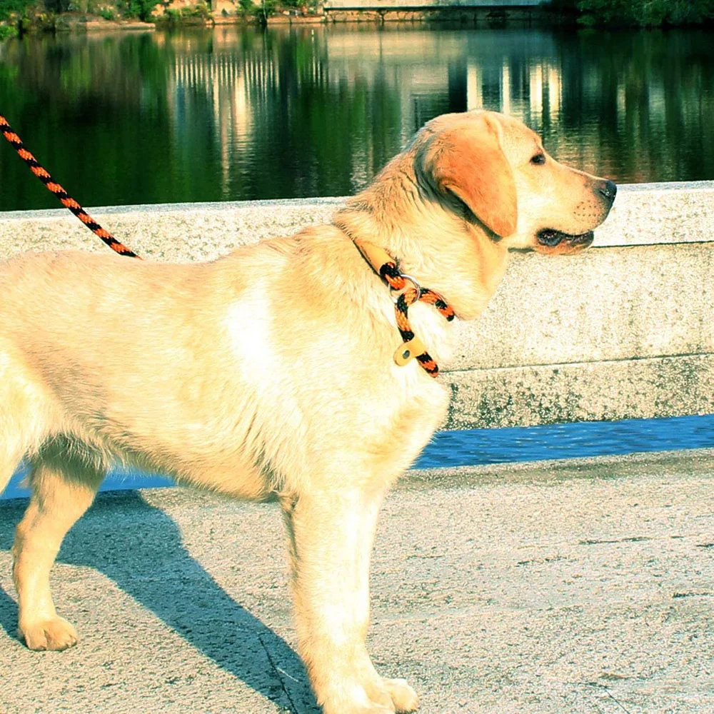 Поводок для собак плетеная веревка скользящий и защелкивающийся крючок прочный