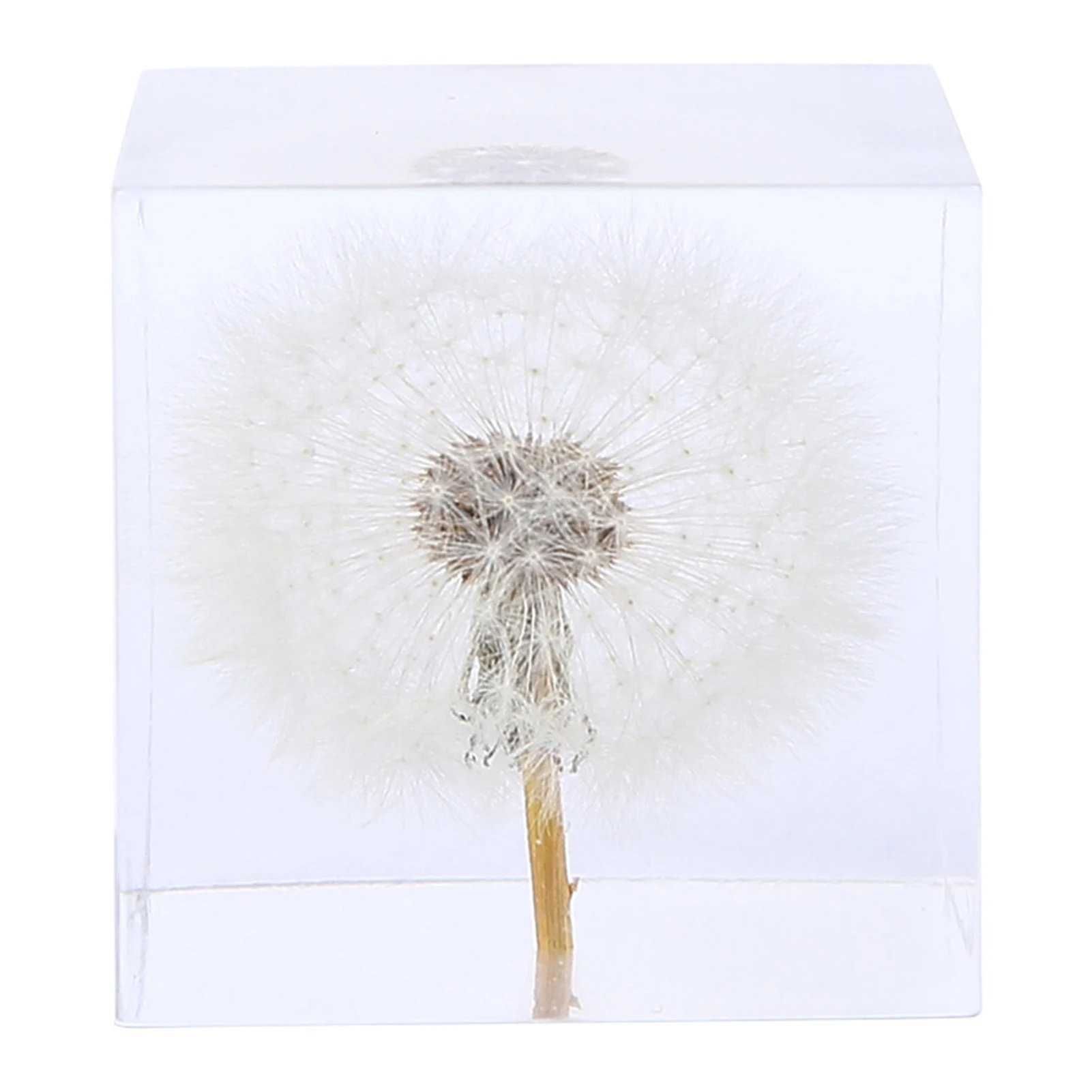 

Crystal Flower Specimen with Geometric Shape Durable Paperweight Dreamy Romantic Best Gift for Anniversary Birthday H88F