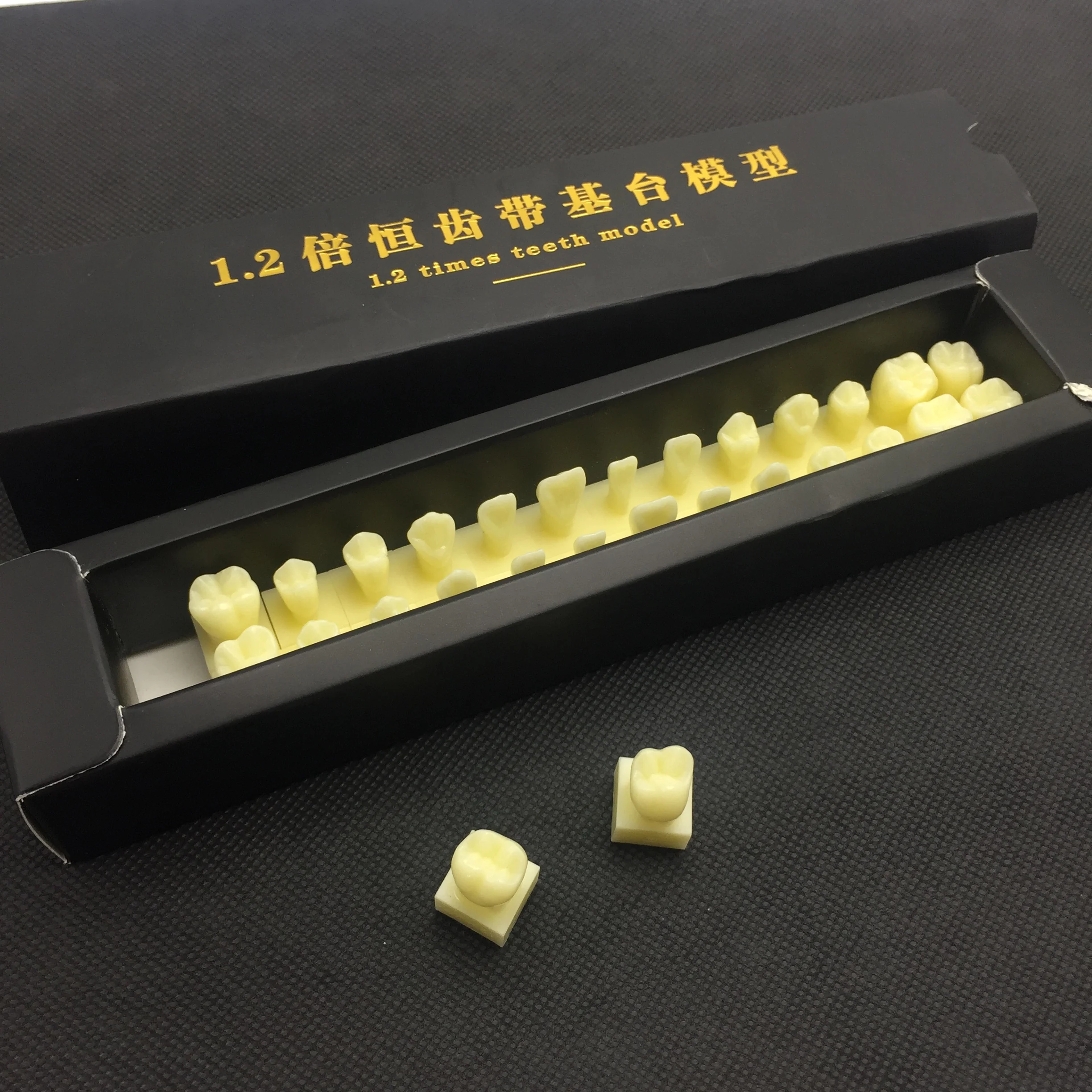 Модель зубных протезов с основанием 1 раз натуральный размер модель