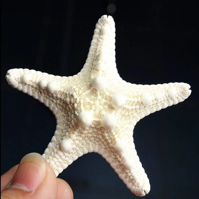1 шт. миниатюрное украшение с морскими звездами натуральные звезды