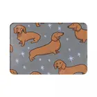 Напольный коврик из полиэстера с таксой, нескользящий абсорбирующий коврик для ног в передней комнате, коридоре, кухне, спальне, балконе, туалете