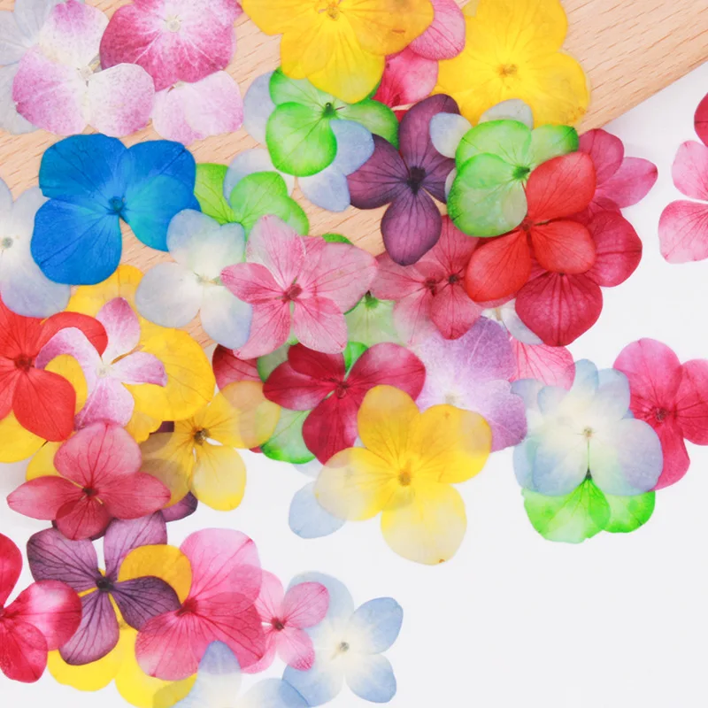 60 шт. разноцветные растения для цветов | Дом и сад