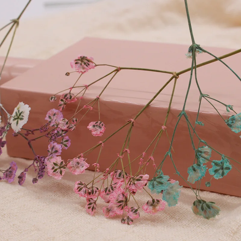 Натуральные сушеные цветы тиснение Botany образец Diy клей ручной оболочки Ароматерапия Свеча фоторамка активность материал наука