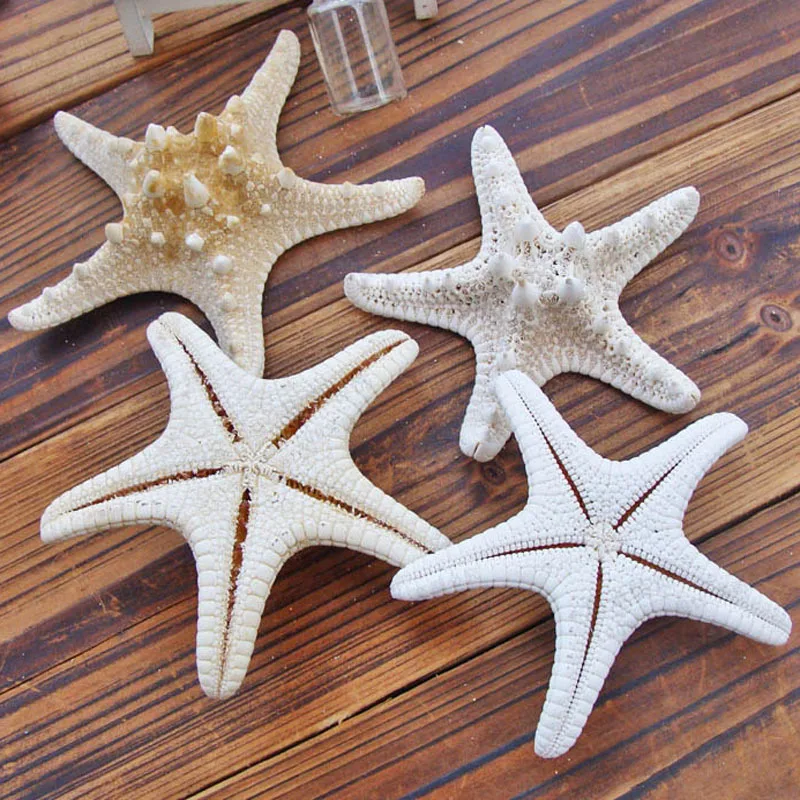 

1pcs Mini Starfish Miniature Figurine Home Decoration Accessories Craft Ornaments Sea Stars Kids Bedroom Living Room Decor Gifts