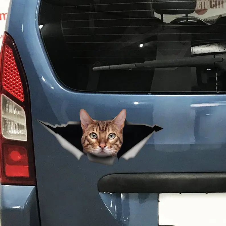

2021 Cute Bengal cat car decal, funny sticker , Bengal cat car sticker