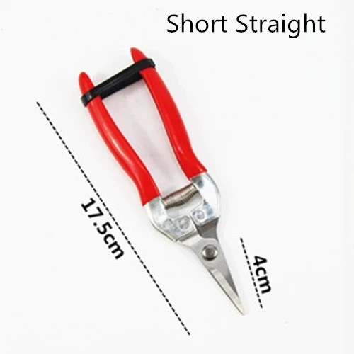 Short Straight Стальные наковальни садовые ножницы обрезные резак для травы сбор фруктов ножницы садовая ветка секаторы садовые Бонсай инструменты - Цвет: Short Straight