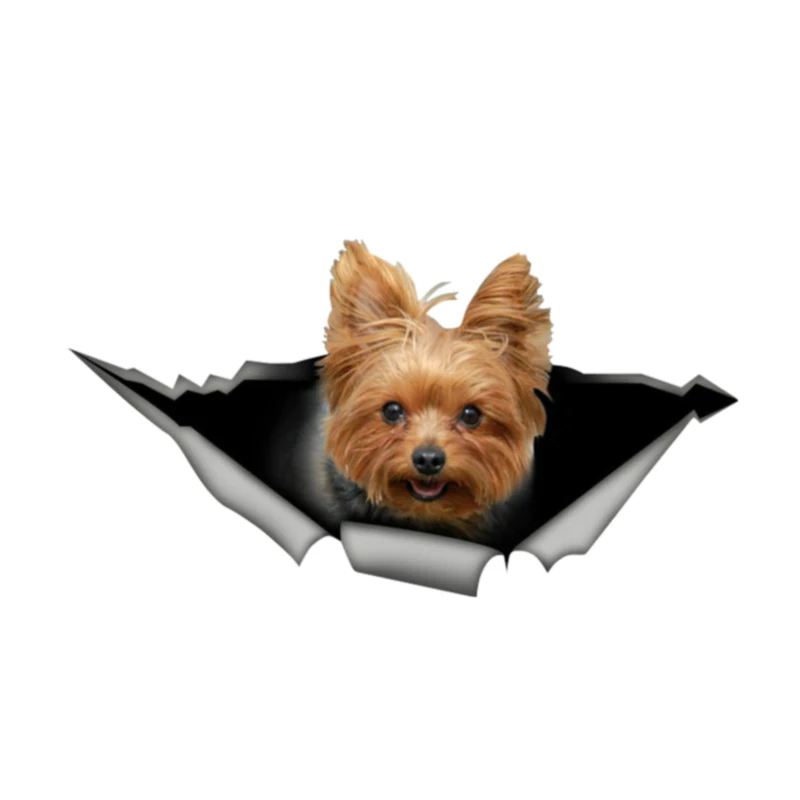 

15cmx9cm Funny dog Car Sticker Motorcycle Bumper Trunk Laptop Window Decals Vinyl Car Styling Decoration