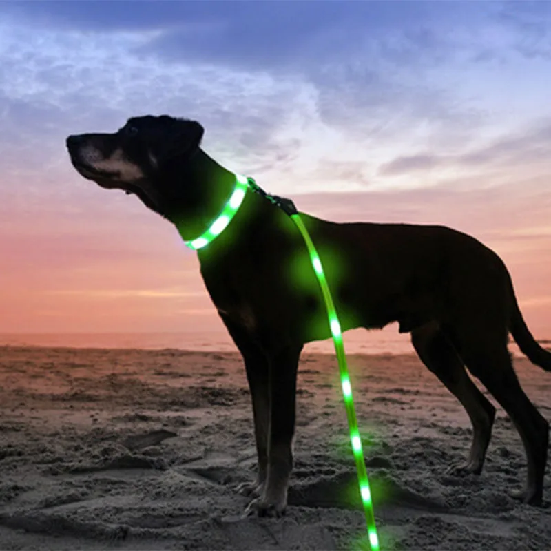 

Pet Luminous Traction Rope Collar USB Charging LED Safe And Strong Cool Collar Night Vision Conspicuous Traction Rope