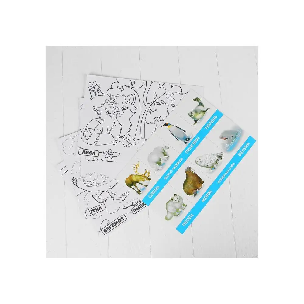 Educational set &quotWe study animals&quot 10 lessons equipment education for school Supplies Office | Канцтовары для офиса и