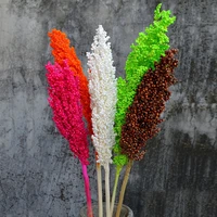 2pcs natural dried flowers preserved sorghum ear bouqueteternelle display flowers wedding home party decoration accessories 1