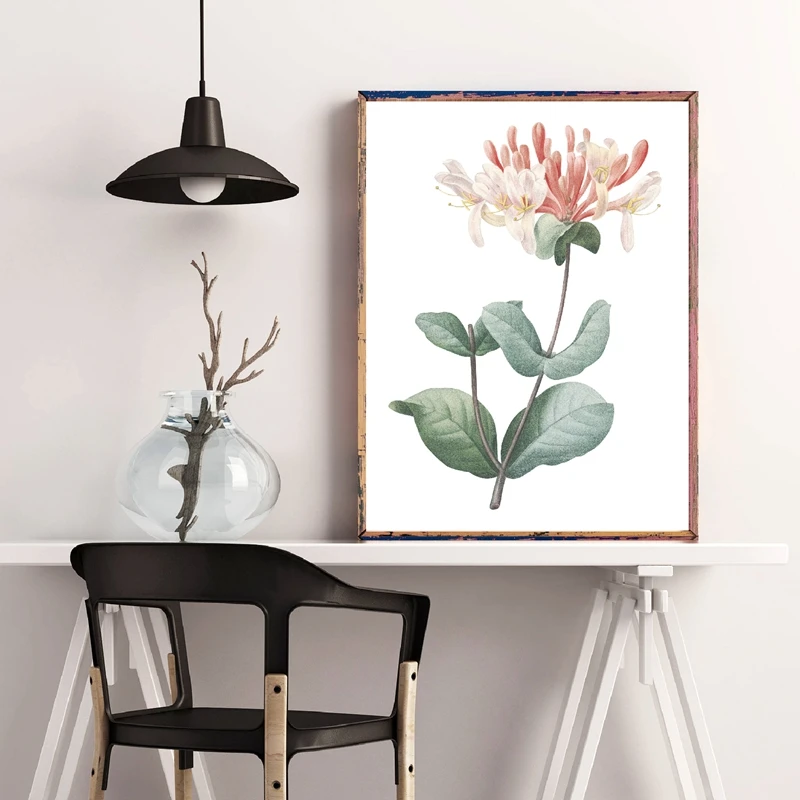 

Flower Print Honeysuckle Botanical Floral Poster Italian Honeysuckle Hand Drawing Painting Wall Art Canvas Picture Home Decor