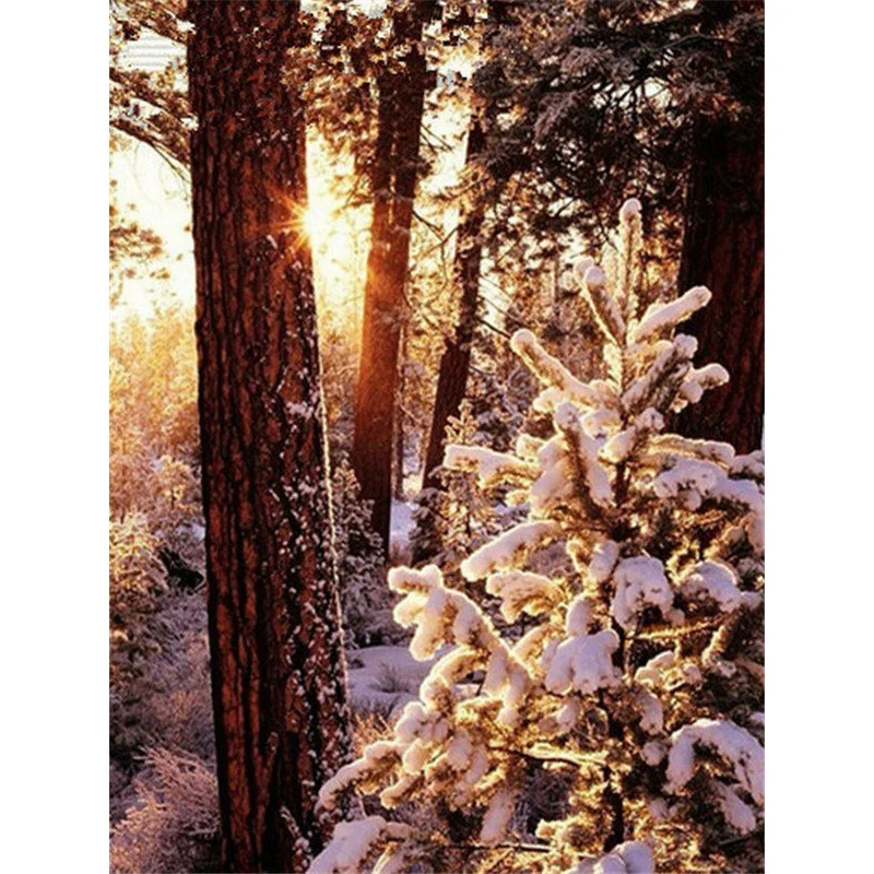 DIY Алмазная вышивка зимнее утро солнце пейзаж картина Картина Вышивка крестом