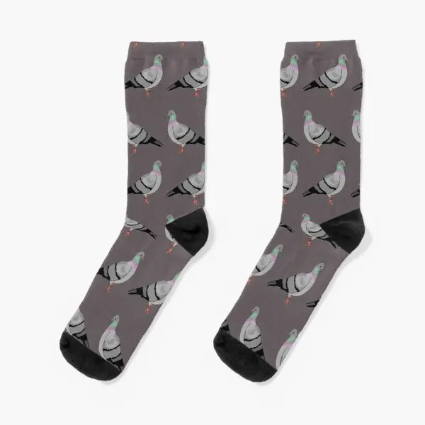 

Pigeon Walk Crew Socks Ankle Best Mens Knee High Black Women