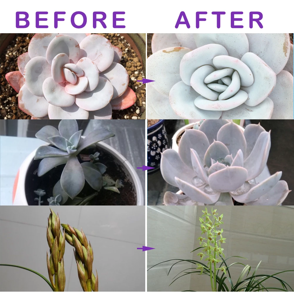 

BORUiT 60 LED Grow Light Full Spectrum with Timer Dimmable Clip-on Phyto Lamp for Potted Plant Greenhouse Indoor Fill Lights