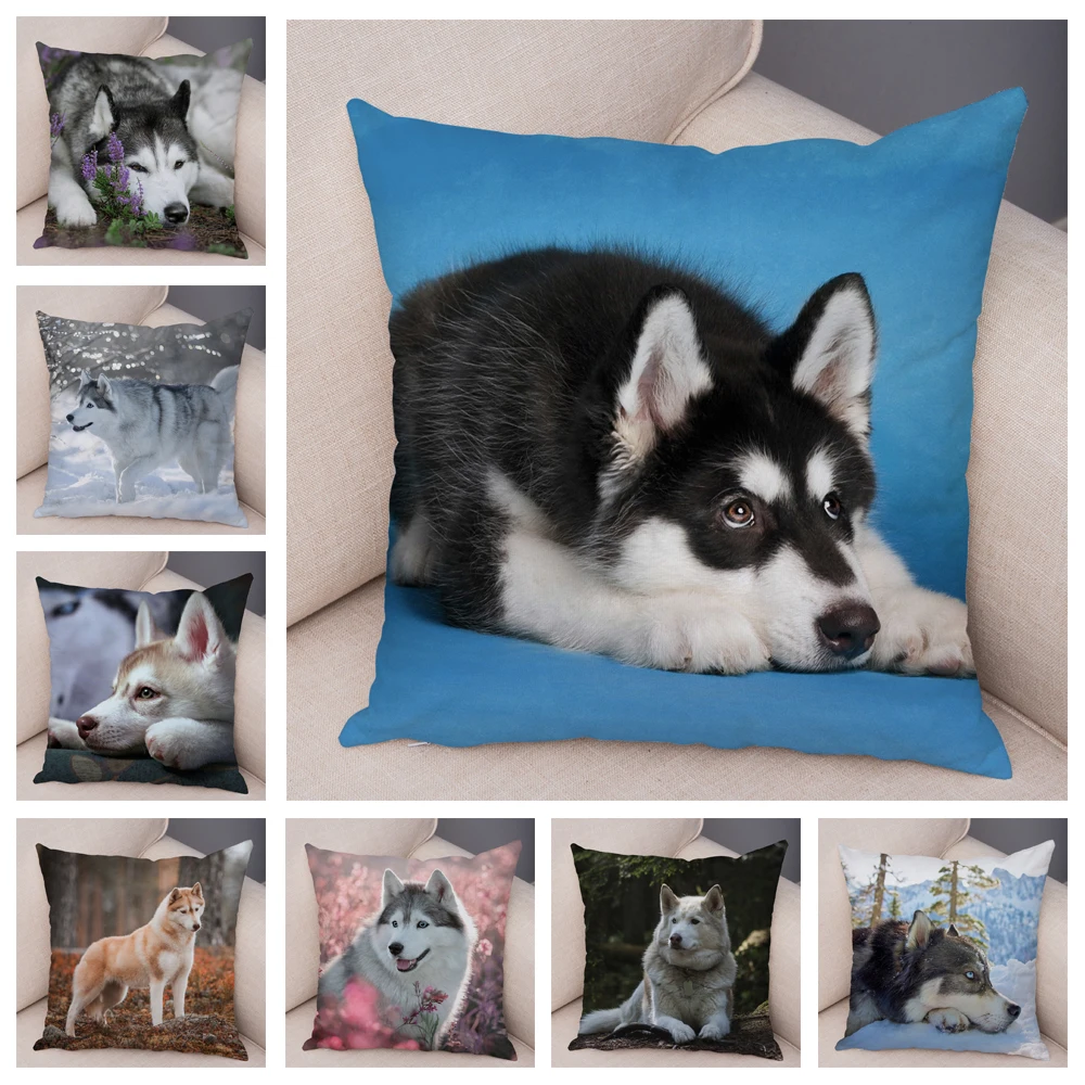 

Pet Siberian Husky Dog Pillow Case Covers Decor Animal Cushion Cover for Sofa Home Super Soft Short Plush Pillowcase 45*45cm